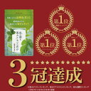 ダイエットサプリ 脂肪燃焼 内臓脂肪 減らす ダイエット 血糖値 サプリ 桑の葉 茶カテキン サラシア イヌリン サプリメント 下げる 皮下脂肪 体脂肪 効果 お腹 脂肪 菊芋 カテキン カテキン緑茶 桑の葉&茶カテキンの恵み 3