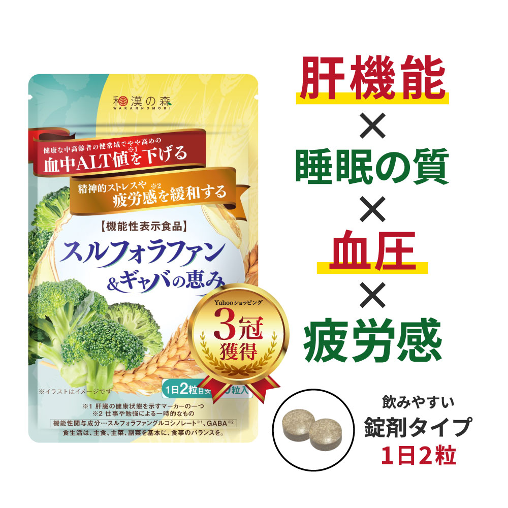 しずみん 休息＆静かな寝息ケア サプリメント 漢方製薬会社共同開発【2個セット】 サプリ セット ギャバサプリ 健康サプリメント 睡眠サプリメント coq10 コエンザイムq10 gaba q10 クワンソウ ノニ ギャバ すっきり 女性 男性 セット サポート 睡眠 寝息 眠り 疲れ だるい