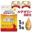 【限定クーポンで2,800円！】尿酸値サプリ 尿酸値を下げる ルテオリン 尿酸ケア 尿酸値ダウン 30日分 尿酸 プリン体 サプリメント 田七人参 白井田七 サプリ 上昇 抑える 抑制 対策 減少 減少サポート 減らす 漢方 和漢の森 国内製造 男性特集 尿酸値特集 お酒 尿酸ケア習慣