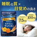 P10倍 睡眠 サプリ GABA ギャバ 睡眠の質 目覚め ルテイン クロセチン ゼアキサンチン 疲労感 疲労緩和 目のぼやけ かすみ ピント調整 目のピント 田七人参 アイケア サプリメント 和漢の森 ルテイン&ギャバの恵み