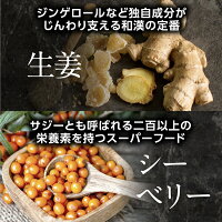 生姜・シーベリー