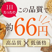 1日66円