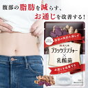 P10倍 ダイエットサプリ ブラックジンジャー サプリ 便通 腸活 腸内環境 内臓脂肪 サプリメント 乳酸菌 ポリメトキシフラボン ダイエット サラシア 内臓脂肪 皮下脂肪 お通じ イヌリン 90粒 あお季の杜 和漢の森 ブラックジンジャー×乳酸菌