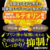 ルテオリン紹介