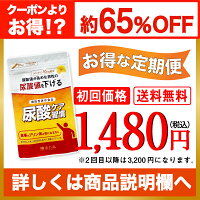 定期案内