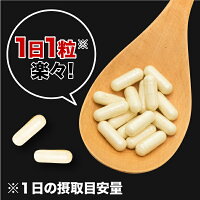一日一粒