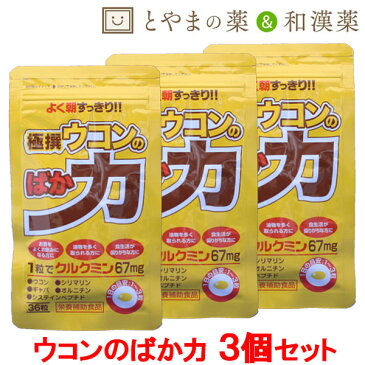 【 メール便 送料無料 】極撰ウコンのばか力 36粒 3個セット | ウコン シリマリン ギャバ しじみ オルニチン サプリメント システィンペプチド 健康補助食品 クルクミン シソ油 大豆レシチン ビタミンe アラニン 食事偏る カプセル 健康サプリ お酒 ターメリック おすすめ