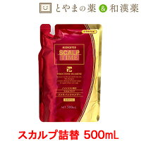 スカルプタイム スカルプ シャンプー 詰替用 500ml | スカルプシャンプー 育毛 サプリメント ノンシリコン ふけ かゆみ 薬用シャンプー 発毛 詰め替え リンスインシャンプー 薄毛 抜け毛 男性用 リンス不要シャンプー 育毛剤 薬用 育毛 女性用