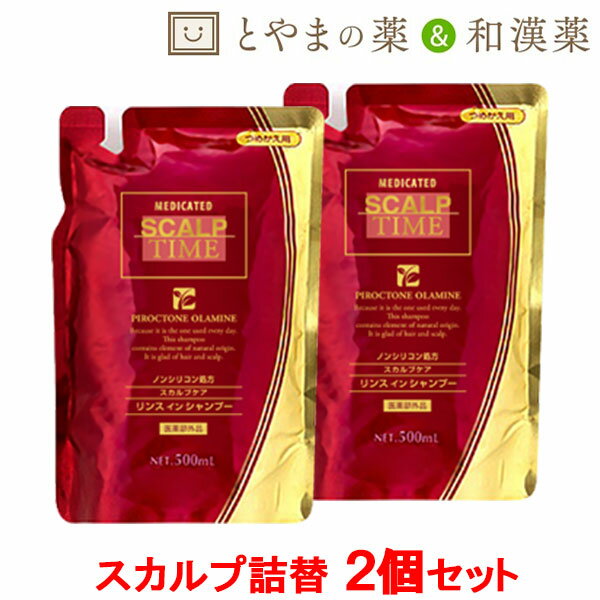 あす楽 送料無料 スカルプタイム スカルプ シャンプー 詰替用500ml 2個セット | スカルプシャンプー ノンシリコン ふけ かゆみ 薬用シャンプー 地肌ケア 地肌に優しいシャンプー リンスインシャンプー メンズ 薄毛 抜け毛 男性用 お得 リンス不要シャンプー 贈り物