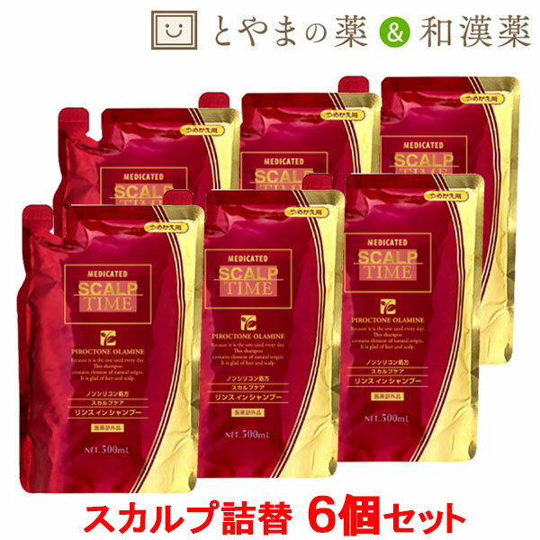 あす楽スカルプタイムスカルプシャンプー詰替用500ml6個セット|スカルプシャンプーノンシリコンふけかゆみ薬用シャンプー地肌ケア