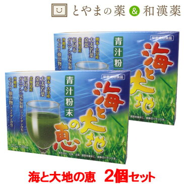 あす楽 送料無料 広貫堂 海と大地の恵 30包 2個セット | 青汁 青汁粉末 酵素ドリンク ダイエット 大麦若葉青汁 無添加 根昆布粉末 根昆布 あおじる 国産 飲みやすい 無農薬 大麦若葉 健康食品 もずく 桑の葉青汁 桑の葉 サプリメント 食物繊維 国産素材 粉末 海藻