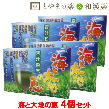 あす楽 送料無料 広貫堂 海と大地の恵 30包 4個セット | 青汁 青汁粉末 大麦若葉青汁 酵素ドリンク ダイエット 無添加 根昆布粉末 根昆布 あおじる 国産 飲みやすい 無農薬 大麦若葉 健康食品 健康 もずく 桑の葉青汁 桑の葉粉末 サプリメント 食物繊維 国産素材 粉末 海藻