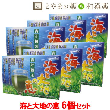 【 送料無料 】広貫堂 海と大地の恵 30包 6個セット | 青汁 青汁粉末 大麦若葉 酵素ドリンク ダイエット 無添加 根昆布粉末 根昆布 あおじる 国産 飲みやすい 無農薬 大麦若葉 健康食品 健康 もずく 桑の葉青汁 桑の葉粉末 サプリメント 食物繊維 国産素材 粉末 海藻