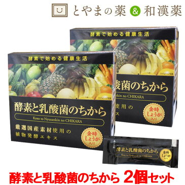 【 送料無料 】酵素と乳酸菌のちから 2個セット 酵素 健康生活 飲みやすい ペースト状 しょうが | 乳酸菌 健康 国産 プレゼント サプリ サプリメント 健康 酵素サプリメント 金時しょうが 金時生姜 金時ショウガ 金時しょうが 酵素 腸内環境 免疫力 生姜 疲労 冷え