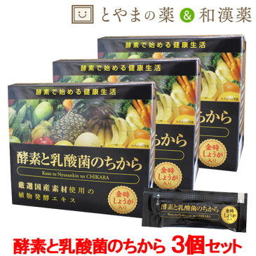 【 送料無料 】酵素と乳酸菌のちから 3個セット 酵素 健康生活 飲みやすい ペースト状 しょうが | 乳酸菌 健康 国産 プレゼント サプリ サプリメント 健康 酵素サプリメント 金時しょうが 金時生姜 金時ショウガ 金時しょうが酵素 腸内環境 免疫力 生姜 疲労 冷え