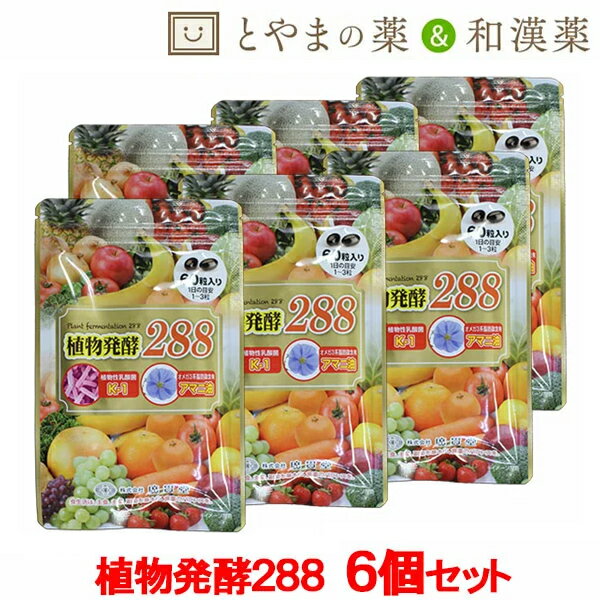 受賞店舗 植物発酵2 6個セット フルーツ 植物発酵エキス 植物性乳酸菌 アマニ油 酵素サプリメント 酵素ダイエット サプリ ダイエットサプリメント オメガ3 健康食品 亜麻仁油 アマニオイル 腸内環境 健康サプリ K 1 乳酸菌サプリメント 腸内フローラ 野菜 流行に Www 受賞店舗 植物発酵2 6個セット フルーツ 植物発酵エキス 植物性乳酸菌 アマニ油 酵素サプリメント 酵素ダイエット サプリ ダイエットサプリメント オメガ3 健康食品 亜麻仁油 アマニオイル 腸内環境 健康サプリ K 1 乳酸菌サプリメント 腸内フローラ 野菜 流行に Www