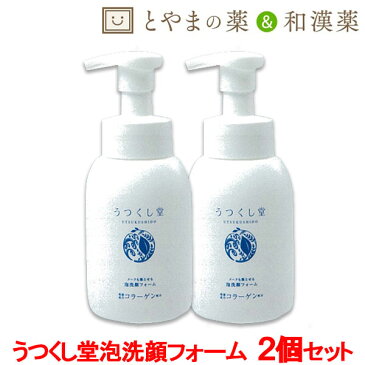 広貫堂 うつくし堂 洗顔フォーム 2個セット | しっとり 和漢 無着色メーク ゆず 泡 洗顔フォーム スキンケア 基礎化粧品 クレンジング 無添加 美容 健康 ギフトプレゼント グレープフルーツ 保湿クリーム 保湿化粧水 保湿液 保湿クリーム 全身 保湿ジェル 肌代謝 化粧品