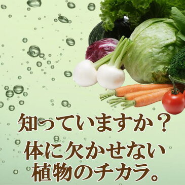 あす楽 送料無料 植物発酵288 12個セット | フルーツ 植物発酵エキス 植物性乳酸菌 アマニ油 酵素サプリメント 酵素ダイエット サプリ ダイエットサプリメント オメガ3 健康食品 亜麻仁油 アマニオイル 腸内環境 健康サプリ k-1 乳酸菌サプリメント 腸内フローラ 野菜