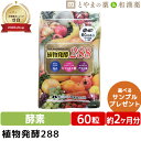 【月間優良ショップ受賞店】植物発酵 288 | フルーツ 植物発酵 植物性 乳酸菌 アマニ油 酵素 サプリ オメガ3 サプリメント 健康 アマニオイル 生酵素 野菜 日本製 乳酸菌 腸 腸サプリ 野菜不足 栄養補助 カシス 粉末 ギフト トイレ フローラ プレゼント