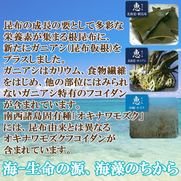 あす楽 送料無料 広貫堂 海と大地の恵 30包 | 青汁 青汁粉末 大麦若葉青汁 酵素ドリンク ダイエット 無添加 根昆布粉末 根昆布 国産 飲みやすい 無農薬 大麦若葉 桑の葉 健康食品 もずく 桑の葉青汁 桑の葉粉末 サプリ 食物繊維 国産素材 粉末 げんき 海藻