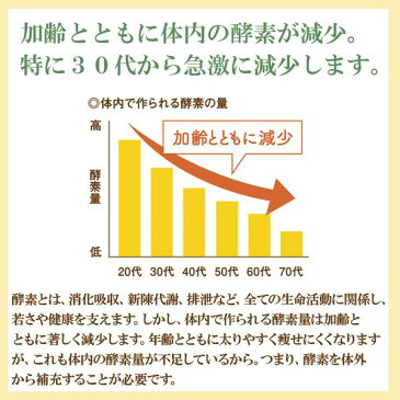 【 送料無料 】酵素と乳酸菌のちから 3個セット 酵素 健康生活 飲みやすい ペースト状 しょうが | 乳酸菌 健康 国産 プレゼント サプリ サプリメント 健康 酵素サプリメント 金時しょうが 金時生姜 金時ショウガ 金時しょうが酵素 腸内環境 免疫力 生姜 疲労 冷え