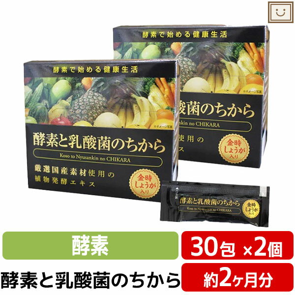 【 送料無料 】酵素と乳酸菌のちから 2個セット 酵素 健康生活 飲みやすい ペースト状 しょうが | 乳酸菌 健康 国産 プレゼント サプリ サプリメント 健康 酵素サプリメント 金時しょうが 金時生姜 金時ショウガ 金時しょうが 酵素 生姜