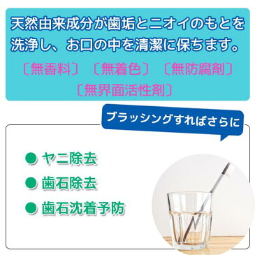 あす楽 送料無料 マウスケアSEAS 500mL 12個セット | 洗口液 マウスウォッシュ 無香料 無着色 無防腐剤 無界面活性剤 ヤニ 歯石 歯石沈着 口内洗浄 口臭 ニオイ キシリトール ウーロン茶エキス 緑茶エキス 紅茶エキス 甜茶エキス プロポリスエキス お口 口内ケア 洗口剤