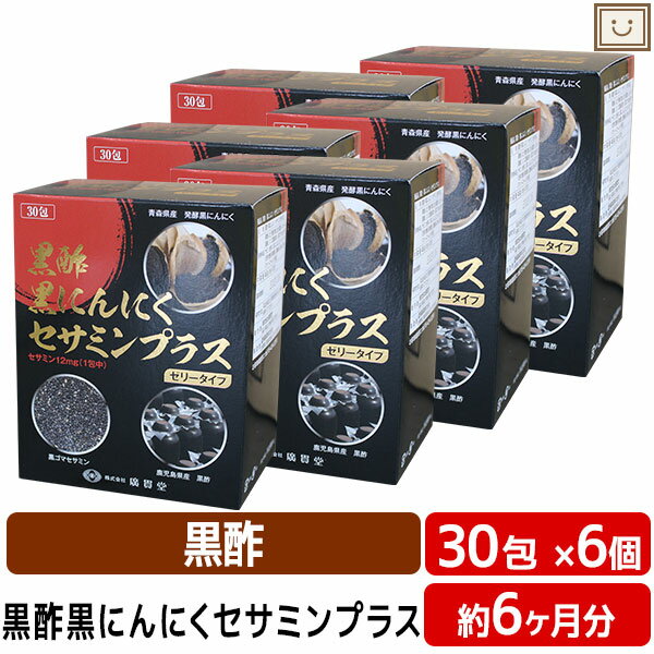 あす楽 送料無料 黒酢黒にんにくセサミンプラス 30包 6個セット | 黒酢 くろず 黒にんにく 黒ゴマ セサミン ごま 発酵 鹿児島 鹿児島黒酢 アミノ酸 ビタミン スタミナ ゼリータイプ ゼリー スティックゼリー 黒酢にんにく 黒酢ニンニク ゴマ 黒セサミン 黒セサミ お酢 酢