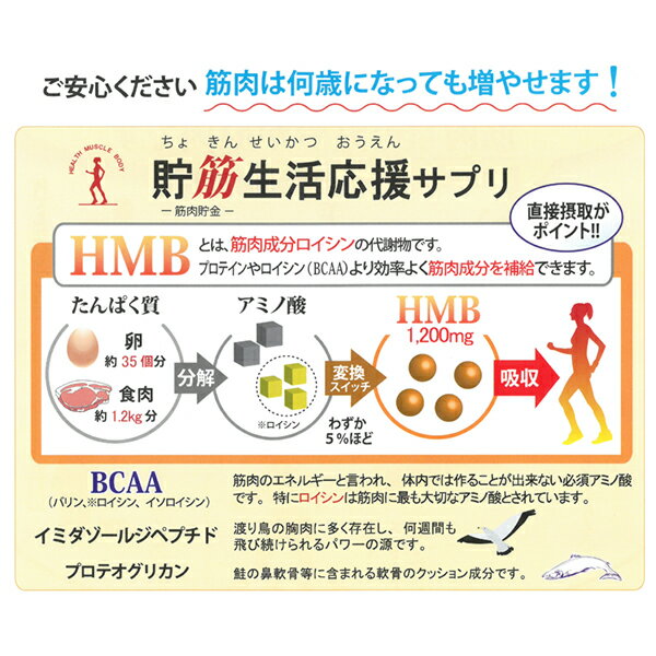 ＼ポイント20倍 ／【レビューキャンペーン実施】アミノネクストHMB BCAA 筋肉 バリン ロイシン イソロイシン イミダゾールペプチド プリテオグリカン オオイタドリ 軟骨 カルシウム ビタミン 運動 健康食品 スポーツ乳酸菌 応援 サプリ サプリメント 運動不足 階段 3