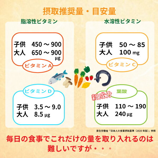 ビタミン推奨量