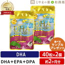 広貫堂 DHA EPA DPA レスベラトロール 2個セット | イチョウ葉 サプリ ビタミンe タブレット 健康 健康サプリ フィッシュオイル サプリメント 男性 女性 日本製 いちょう葉 敬老の日 健康食品 ギフト サプリメント 食事で不足 魚 さかな まぐろ