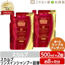 薬用シャンプーPK 詰替用500ml 2個セット スカルプタイム スカルプシャンプー ノンシリコン ふけ かゆみ 薬用シャンプー リンスイン 男性用 薬用 女性用 メンズスカルプ 乾燥 頭皮 ボリューム ハリ ギフト まとまる 綺麗 かみのけ 髪 かみ