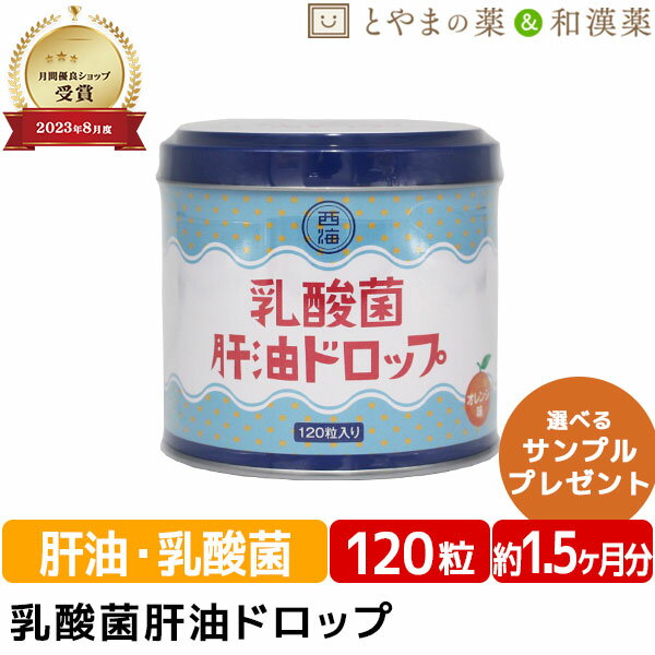 乳酸菌肝油ドロップ オレンジ風味 120粒 | 肝油ドロップ 国産 子供 目のサプリ ビタミンD ビタミンC ビタミンA 乳酸菌 鮫肝油 受験生 ビタミン剤 栄養補助食品 西海製薬 サプリ 健康食品 サプリメント 食事 肌 おすすめサプリ ぽっきり