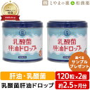 乳酸菌肝油ドロップ オレンジ風味 120粒 2個セット | 肝油ドロップ 国産 子供 目のサプリ ビ ...