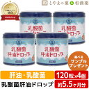 乳酸菌肝油ドロップ オレンジ風味 120粒4個セット | 肝油ドロップ 国産 子供 目のサプリ ビタミンD ビタミンC ビタミンA 乳酸菌 鮫肝油 受験生 ビタ...