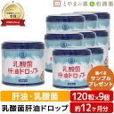 【レビューキャンペーン実施】乳酸菌肝油ドロップ オレンジ風味 120粒 9個セット | 肝油ドロップ 国産 子供 目のサプリ ビタミン 乳酸菌 鮫肝油 受験生 ...