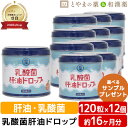 【レビューキャンペーン実施】乳酸菌肝油ドロップ オレンジ風味 120粒 12個セット | 肝油ドロップ 国産 子供 目のサプリ ビタミンD ビタミンC ビタミン...