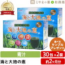 【レビューキャンペーン実施】海と大地の恵 30包 2個セット | 青汁 青汁粉末 大麦若葉青汁 酵素ドリンク 無添加 根昆布粉末 根昆布 国産 飲みやすい 無農...