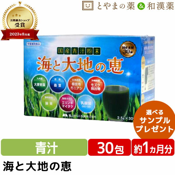 楽天とやまの薬＆和漢薬＼ポイント20倍 ／【レビューキャンペーン】海と大地の恵 30包 | 青汁 青汁粉末 大麦若葉青汁 酵素ドリンク 無添加 根昆布粉末 根昆布 国産 飲みやすい 無農薬 大麦若葉 桑の葉 宇治抹茶 きのこ 乳酸菌 抹茶 健康食品 もずく 健康食品 サプリメント 食事で不足