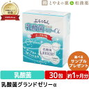 乳酸菌グランドゼリーα 30包 | 広栄ケミカル 乳酸菌 人由来 ラクトフェリン ビタミン 食物繊維 低カロリー ゼリー サプリ LFK 健康食品 ビューティ ...