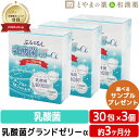 乳酸菌グランドゼリーα 30包 3個セット | 広栄ケミカル 乳酸菌 人由来 ラクトフェリン ビタミン 低カロリー ゼリー サプリ LFK 健康 男性 女性 美容 メンズ 敬老の日 ギフト 健康食品 サプリメント 食事で不足