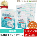 乳酸菌グランドゼリーα 30包 12個セット |広栄ケミカル 乳酸菌 人由来 ラクトフェリン ビタミン ヨーグルト味 低カロリー ゼリー 特許取得 栄養補助食品 敬老の日 ギフト 健康食品 サプリ サプリメント 食事で不足 サプリメント