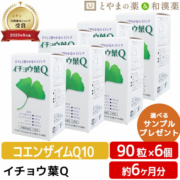 【レビューキャンペーン実施】ダイト イチョウ葉 Q 90粒入 6個 セット | ハープシーオイル ルテイン コエンザイムQ10 エイジング サプリ サプリメント epa dha 目 カプセル イチョウ葉エキス マリーゴールド いちょう葉 栄養 敬老の日 ギフト 健康食品 食事で不足 綺麗