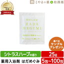 はだめぐみ 薬用入浴剤 (医薬部外品)入浴剤 風呂 お風呂 ふろ 入浴剤セット ギフト 福袋 プレゼント 入浴剤 風呂 お風呂 バスソルト 入浴剤 詰め合わせ ...