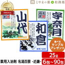 名湯百景 和倉 山代 宇奈月 温泉 薬用入浴剤 (医薬部外品) 入浴剤 風呂 ふろ お試し ギフト プレゼント バスソルト 個包装 分包 便利 常備薬 温浴 疲...