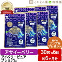 生活の木 スーパーフード 有機アサイー100％パウダー(100g)【生活の木】