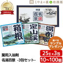 \レビュー特典あり/ 名湯百景 箱根 定山渓 湯布院 GM-3 入浴剤 温泉入浴剤 薬用入浴剤 (医薬部外品) 入浴剤 風呂 お試し 疲労 回復 ポッキリ入浴剤 にごり 温泉の素 詰め合わせ 入浴剤セット 名湯 福袋 御礼 プチギフト 温浴 父の日 入浴剤 ギフト 父の日ギフト 温泉の素