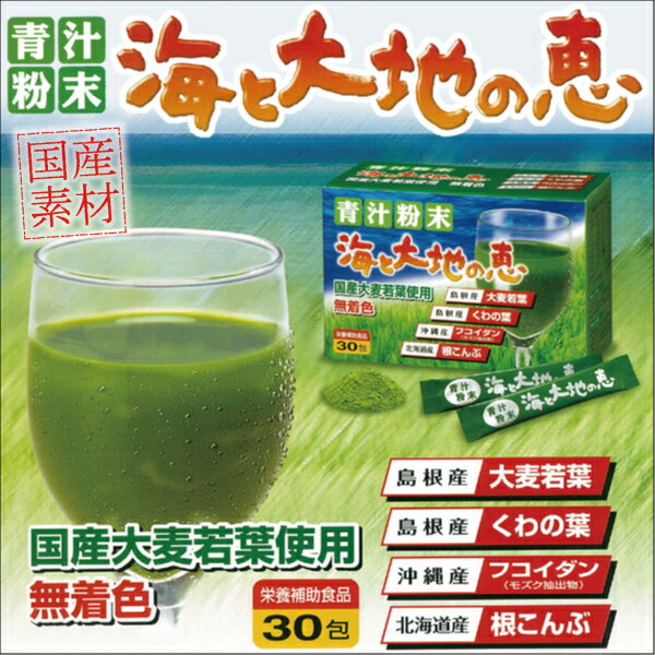 あす楽 送料無料 広貫堂 海と大地の恵 30包 | 青汁 青汁粉末 大麦若葉青汁 酵素ドリンク ダイエット 無添加 根昆布粉末 根昆布 国産 飲みやすい 無農薬 大麦若葉 桑の葉 健康食品 もずく 桑の葉青汁 桑の葉粉末 サプリ 食物繊維 国産素材 粉末 げんき 海藻