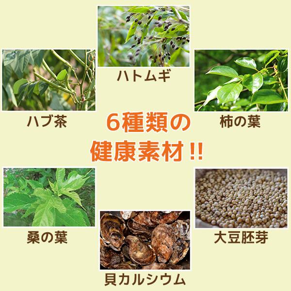 【 送料無料 】冷やしむぎ茶 ティーバッグ10g 96包 6個セット | ハトムギ ハブ茶 柿葉 貝カルシウム 大豆胚芽 桑の葉 麦茶 カルシウム おちゃ お茶パック 健康茶 はとむぎ はと麦 柿の葉 桑葉 健康 ティーパック プレゼント カリウム ビタミンc 敬老会　ギフト 敬老会