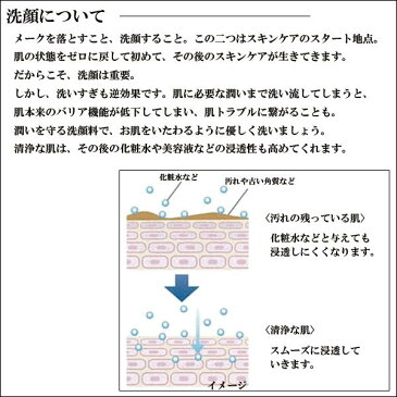 広貫堂 うつくし堂 洗顔フォーム 2個セット | しっとり 和漢 無着色メーク ゆず 泡 洗顔フォーム スキンケア 基礎化粧品 クレンジング 無添加 美容 健康 ギフトプレゼント グレープフルーツ 保湿クリーム 保湿化粧水 保湿液 保湿クリーム 全身 保湿ジェル 肌代謝 化粧品